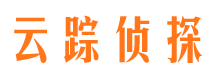 大新市场调查